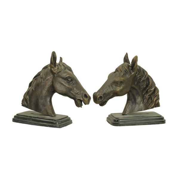 Bronze Bookends