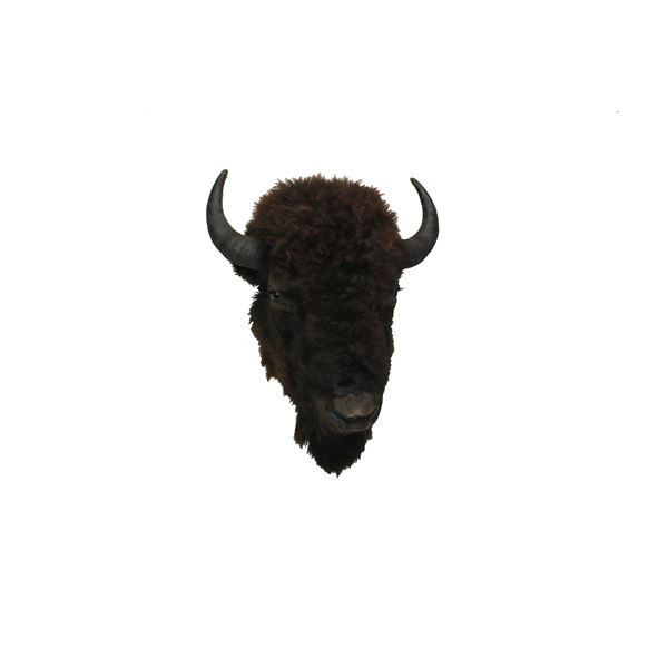 Buffalo Head Mount