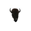 Image 1 : Buffalo Head Mount