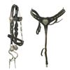 Image 1 : Porter Silver Bridle Set