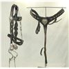 Image 2 : Porter Silver Bridle Set