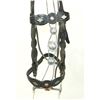 Image 3 : Porter Silver Bridle Set