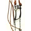 Image 3 : Leather Braided Bridle
