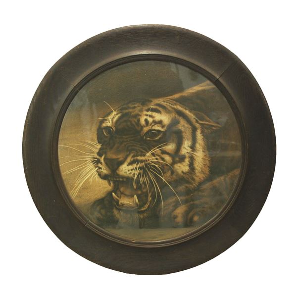 Antique "Bucking the Tiger" Picture