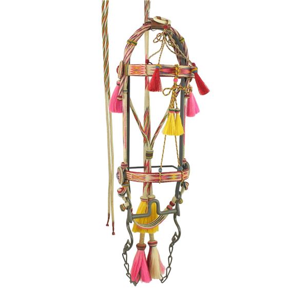 Phenominal Deerlodge Horsehair Bridle