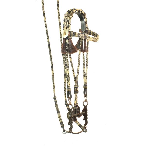 Rare Horsehair Bridle