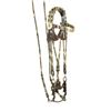 Image 1 : Rare Horsehair Bridle
