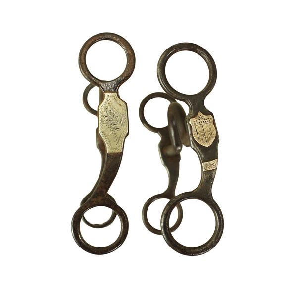 Grouping of Silver Grazing Bits