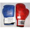 Image 1 : Autographed Boxing Gloves Mandalay Bay 2004