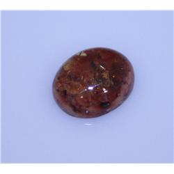 Mexican Opal