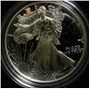 Image 2 : American Silver Eagle Coins ( Times the Money)