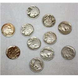 Lot of 10 Buffalo Nickels
