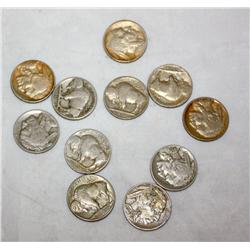 Lot of 10 Buffalo Nickels