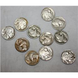Lot of 10 Buffalo Nickels