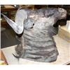 Image 1 : Wilderbeast Head