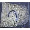 Image 1 : Bag Lot of Costume Jewelry