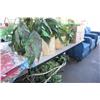 Image 1 : Table Lot Of Fake Plants