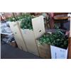 Image 1 : 4 Boxes Of Fake Plants