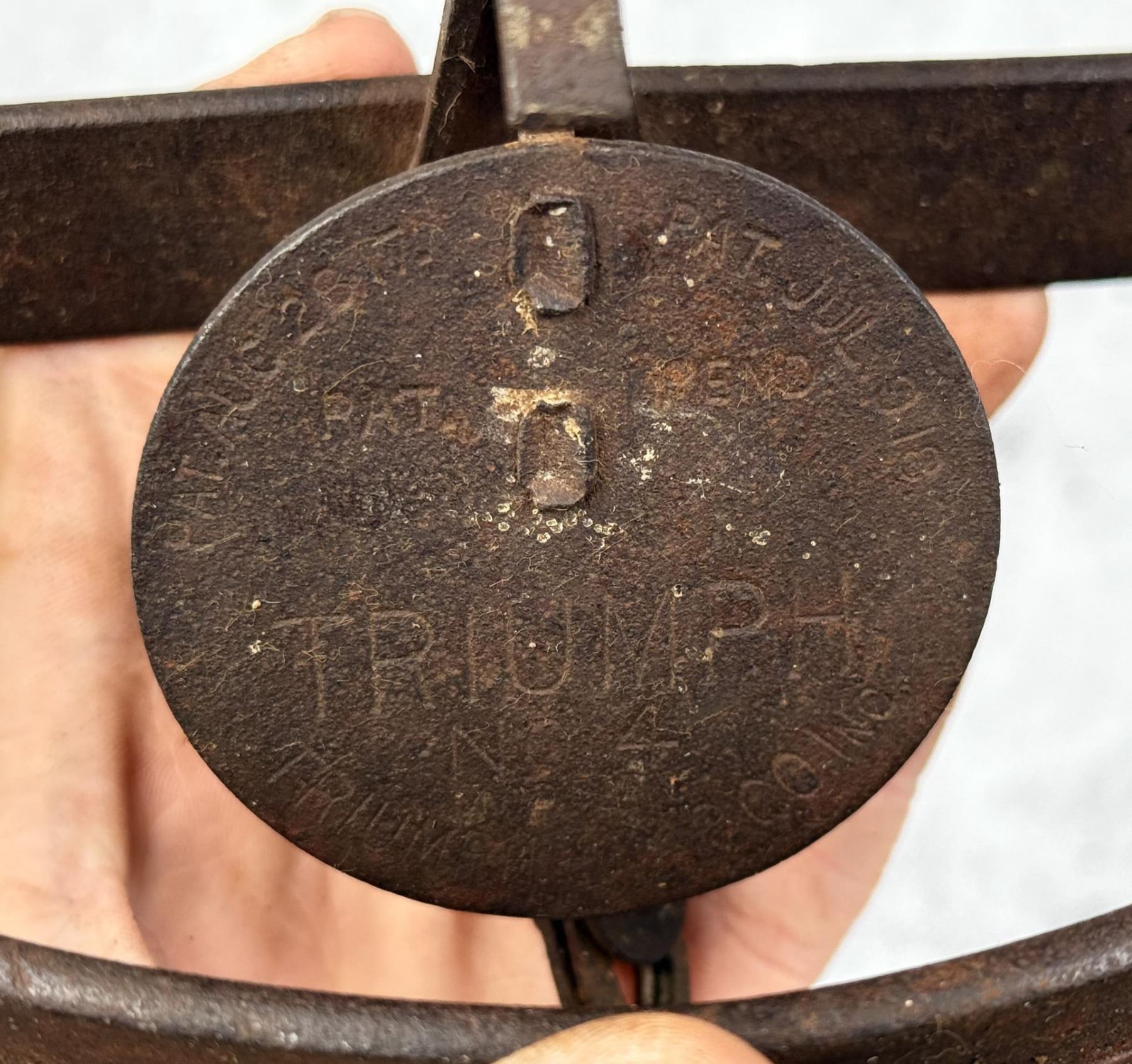 Triumph No 4 Trap