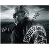 Image 1 : Ron Perlman signed photo