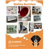 Image 1 : Online Auction