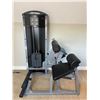 Image 1 : Life Fitness Machine