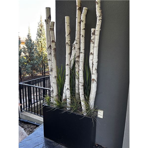 Birch Wood Planter Box