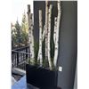 Image 1 : Birch Wood Planter Box