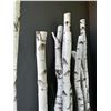 Image 4 : Birch Wood Planter Box