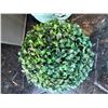 Image 5 : Teal Ceramic Planter Decor
