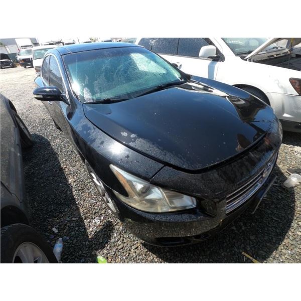 NISSAN MAXIMA 2010 T