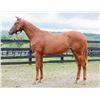 Image 1 : Filly Country House A.A. Rusalka