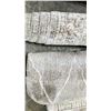 Image 2 : PALLET OF ASSORTED AREA RUGS *MAY HAVE DAMAGE/ NEED CLEANING*