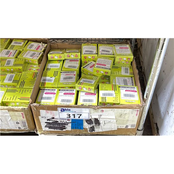 BOX OF 'TACO CAT GOAT CHEESE PIZZA' CARD GAME