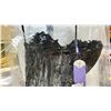 Image 2 : LADIVINE BLACK SIZE 12 DRESS