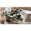 Image 2 : PALLET OF HOME GOODS - CANDLE HOLDERS, ASSORTED WREATHS, LARGE BOTTLE BRUSH TREES, SMALL + MEDIUM