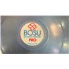 Image 2 : BOSU BALL