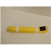 Image 1 : CEINTURE (KARATE GOJU IOGKF) LOGO JKS JAUNE SR GR M