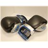 Image 1 : PAIRE DE GANTS DE SPARRINGLOGO JKS NOIR/ARGENT/BLEU GR M *NEUF*