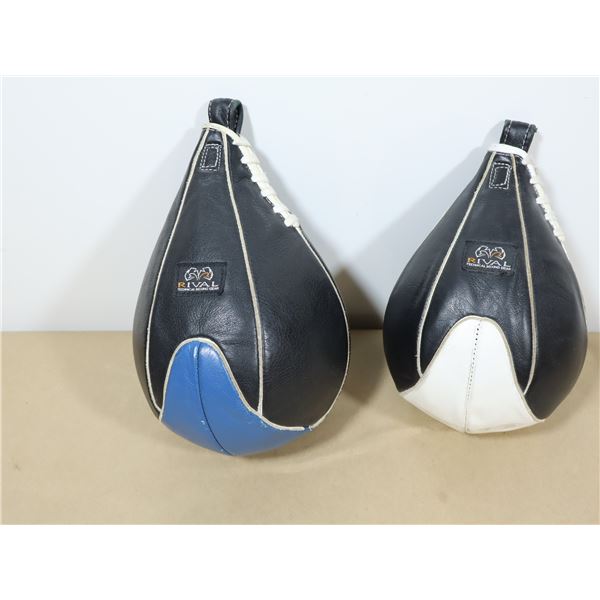 LOT: 2 SAC DE VITESSE