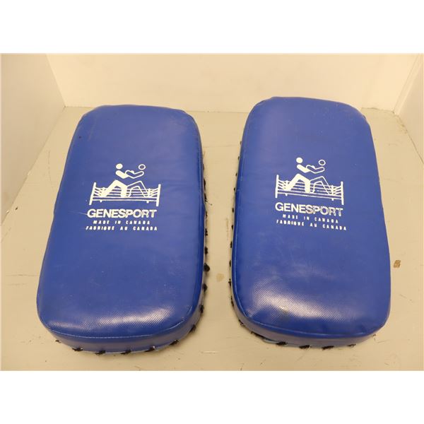 LOT: 2 PADS POUR COUP DE PIED GENESPORT BLEU