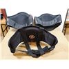 Image 2 : LOT: 3 PROTECTEURS DE VENTRES
