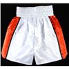 Image 3 : ROY JONES JR SIGNED BOXING TRUNKS JSA COA)