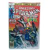 Image 1 : MARVEL COMICS THE AMAZING SPIDER-MAN NO.171