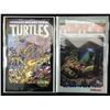 Image 1 : LOT OF 2 TEENAGE MUTANT NINJA TURTLES COMICS