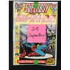 Image 1 : LOT OF 25 SUPERBOY COMICS
