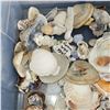 Image 3 : Large Plastic Tote of Various Sea Shells