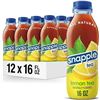 Image 1 : Snapple Lemon Tea 473ml Bottles – Set of 10 Units