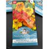 Image 2 : Mr. Fothergill’s Nasturtium Capucine Trailing Mixed Seeds, Bright Flowers Lot of 5