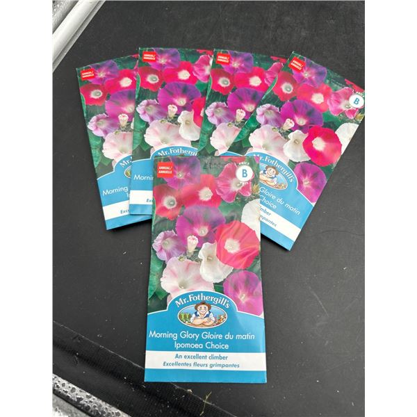 Mr. Fothergill’s Morning Glory Ipomoea Choice Flower Seeds – Set of 5